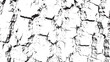 © M2L - Monochrome Organic Grunge Texture Abstract Black White Bark Surface Background