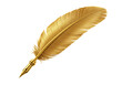 © Shamim Akhtar - Golden quill feather isolated on transparent background