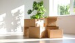 © Shihral - Moving boxes in sunlit room