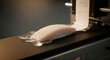 © Bakha - Fresh raw salmon fillet vacuum sealed in plastic packaging on automated conveyor machine with printed label for food safety