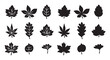 © JungleOutThere - Fall maple leaves silhouette vector illustration set.