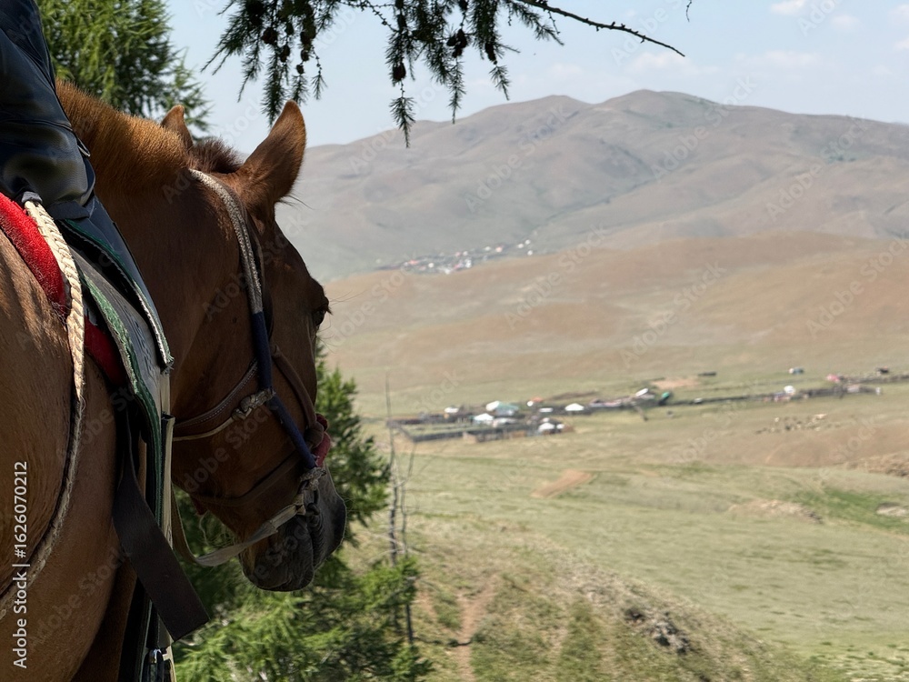 Saddled Mongolian horses and grazing cattle on the steppe near ...