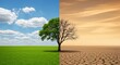 © Nouman - A conceptual image showing the impact of climate change, with a tree split between a green, healthy environment and a dry, barren desert landscape