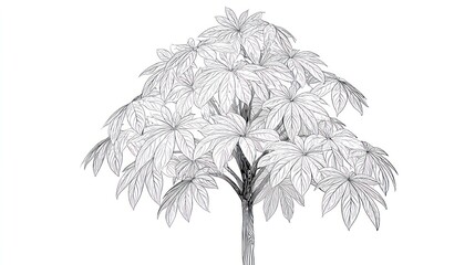 Detailed line drawing of a tree