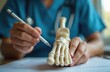© Viktor - Doctor uses anatomical foot model for medical consultation. Physician points with pen to bones, explaining diagnosis, treatment options in clinic office. Health care pro demonstrates foot anatomy for