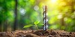 © kavalin - A seedling emerges from fertile soil, symbolizing growth and new beginnings, alongside a drill bit representing progress and development in a vibrant natural setting.