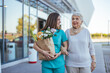 © Dragana Gordic - Smiling Healthcare Worker Assisting Elderly Woman With Groceries Outdoors