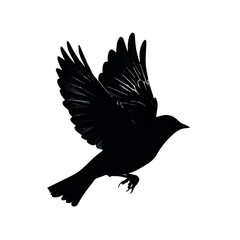 Wall Mural - clean and modern vector black bird flying silhouette vector illustration avian wildlife design