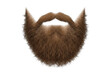 © Wong - Realistic brown beard illustration with detailed texture against a transparent background