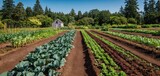 The vibrant vegetable garden thriving under the clear blue sky.