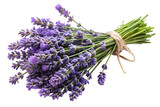 A bunch of fresh purple lavender flowers tied with twine, representing nature and relaxation isolated on transparent background