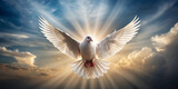 White dove flying with rays, peace bird illustration, freedom pigeon design, glowing dove wallpaper, spiritual bird background, symbolic dove vector, bird in light art, holy spirit dove design, flying