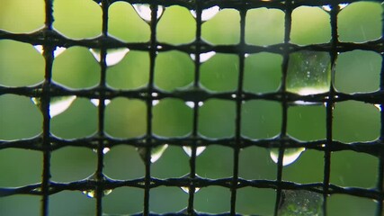 Dew stained net background with natural macro footage in bokeh mode