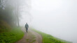 © Rebekah - A man walking on a winding path in a dense fog, his steady pace breaking the stillness
