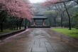 © Dennis - Full Bloom Sakura Trees in a Traditional Japanese Park During Cherry Blossom Season