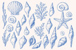 © vectoJA - Vintage hand-drawn sea shells, starfish, coral and seaweed collection in blue sketch style for beach, ocean, marine life, summer decoration, coastal design, and nautical themed illustrations