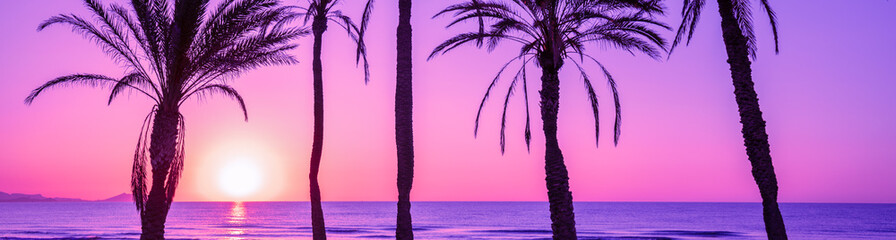 Wall Mural - Seascape in the early morning during a beautiful purple sunrise. Palm trees on the beach. San Juan beach, Alicante, Spain
