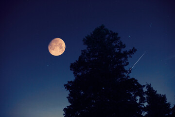 Wall Mural - full moon with stars, planets and rural countryside tree silhouettes.