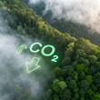© mayur - Lowering CO₂ Emissions: Forest and Sustainability Concept
