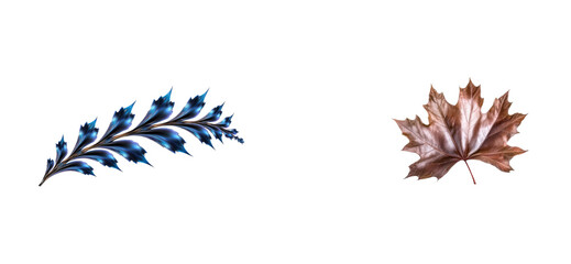 Wall Mural - Unique leaves with blue and brown hues on transparent background