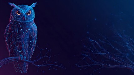 Wall Mural - owl digital art on dark background