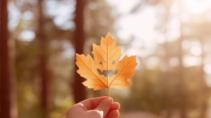 Wall Mural - Colorful autumn leaf with a carved pumpkin face held up against a sunlit forest backdrop during fall season.