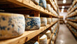 © Betty - Rows of aged cheese wheels on wooden shelves in a cool, climate-controlled aging room.