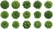 © Lotus - Top view green bush set, garden foliage collection, landscape shrub illustration, vector plant clipart, leafy ball shape, isolated greenery elements