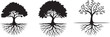 © Nayon - Three Black Tree Silhouettes with Root Systems Depicted in Elegant Vector Illustration Nature and Growth Concepts