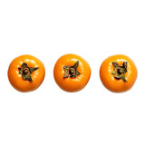  Textured Vegetables