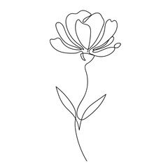 Wall Mural - Continuous vector line drawing of a single flower with stem, transparent background, stroke editable.