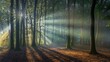 © Mia - Sunlit Forest Path with Autumn Leaves