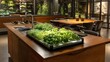 © aminsmart - Sustainable kitchen with integrated hydroponic garden for fresh herbs and vegetables