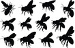 © Creatives Selim - Honey bee silhouette collection, realistic flying bee icons, detailed insect shapes, black isolated bee insect design, flat vector.eps