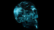 © wenbo sun - Bioluminescent neural networks pulsing inside a translucent human skull in darkness.
