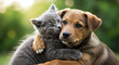 © Kalam - puppy and cat, cat and dog, A cat and a dog are hugging each other with hearts on their chests. Concept of love and affection between the two animals