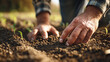 © Jhati - Close up of farmer's hands planting seedlings in soil in a field on a sunny day