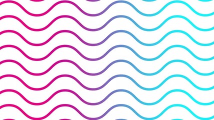 Wall Mural - Animated pink blue wavy lines. Linear background. Decorative pattern. Looped video. Vector illustration isolated on white background.