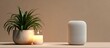 © Rahayu - Still life with potted plant, candle, and modern speaker on light beige shelf