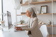 © wolfhound911 - Hispanic elderly businesswoman elegantly dressed in neutral tones, hosting a virtual meeting on her sleek desktop computer. Her office is filled with natural light, minimalist shelves, and awards from