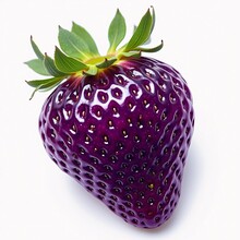 紫色のイチゴ 無料画像 - Public Domain Pictures