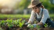 © Роксолана Гордієвич - A woman wearing a hat and gloves tending plants in a garden. Suitable for materials about gardening, ecology and sustainable lifestyle.