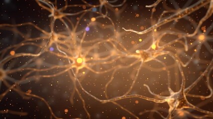 Wall Mural - Neuron or nerve cell with an intricate network. Perfect for projects related to science, technology, medicine, artificial intelligence, and the mysteries of life.