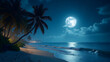 © Heru - Cinematic wide shot of a serene tropical beach with a stunning night sky.
