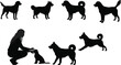 © Sumia Art - Silhouettes of dogs,  dog poses, sitting, running, standing, kneeling, animal behavior, canine diversity, black silhouettes, dog training, pet love,  dog owner bond, dog motion, peaceful moment