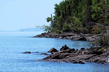 Wall Mural - rocky shoreline with lush greenery and calm water.