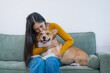 © NanSan - A young Asian woman sits on a cozy sofa at home with her Corgi. The indoor scene reflects warmth, happiness, and the loving bond between owner and pet during quiet leisure time