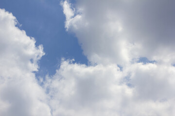 Wall Mural - it's a blue sky with fluffy clouds.