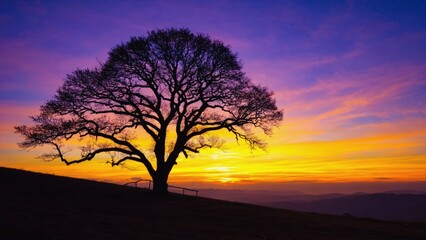 A lone tree with sprawling branches stands silhouetted against a vibrant orange and purple sunset sky on a hill, symbolizing solitude, strength, nature beauty, and the transition between day, night.
