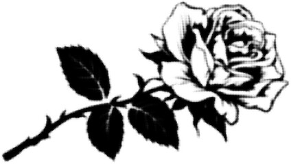 Wall Mural - black and white rose illustration with leaves, vintage floral design